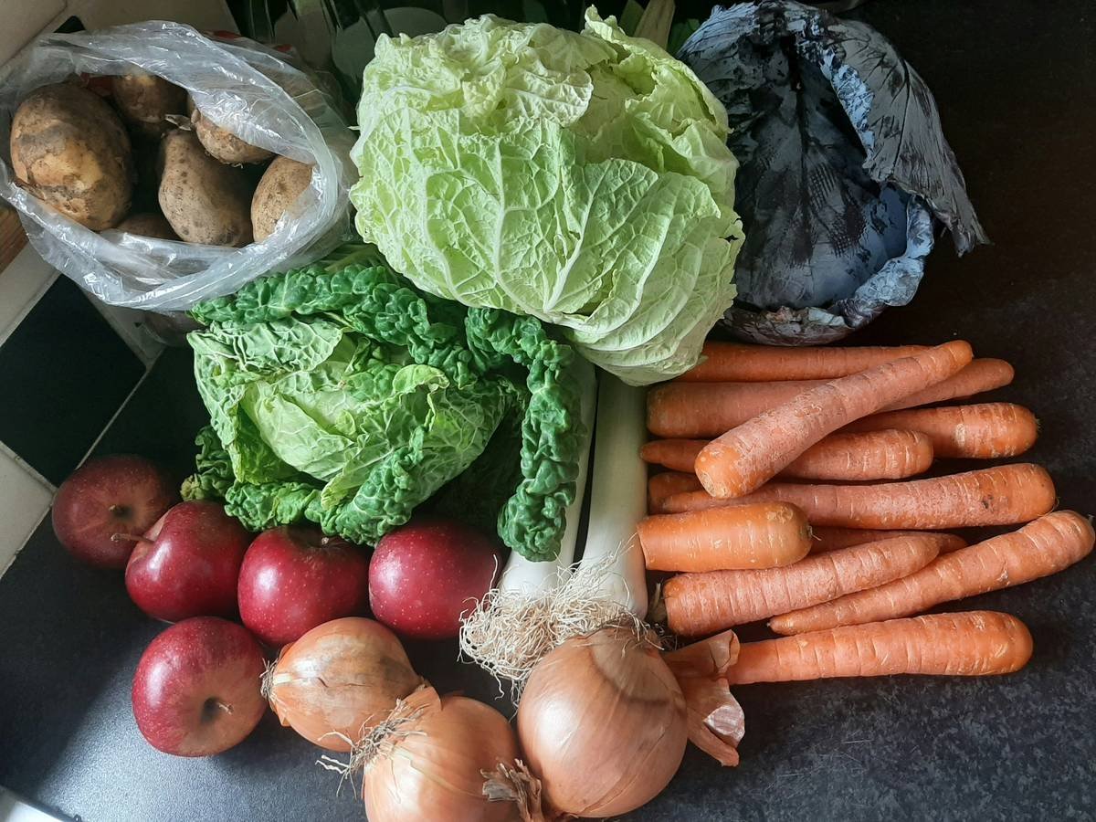 Bar chart comparing antioxidant levels in organic vs conventional spinach, kale, and carrots showing 20-70% higher levels in organic