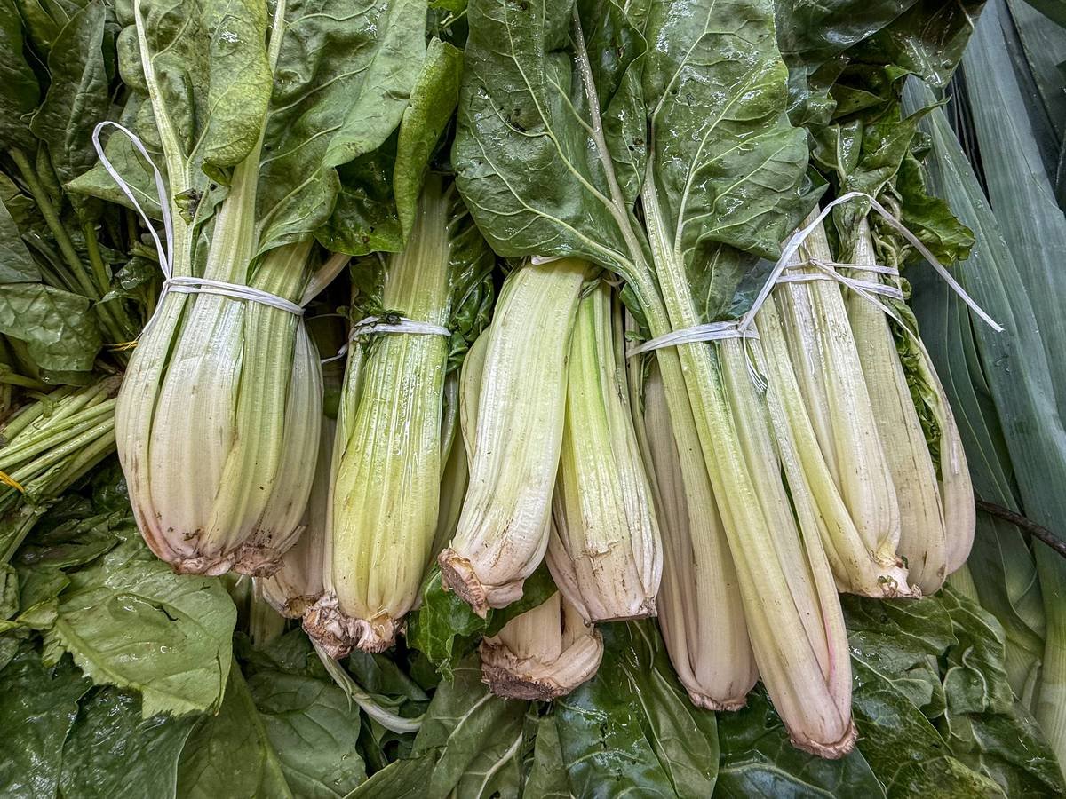Bar chart comparing vitamin K, betalains, and chlorophyll levels in organic vs. conventional fresh chard based on USDA and NIH data