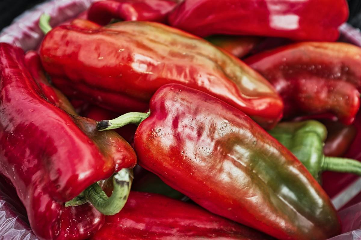 Fresh Red and Green Chili Peppers Gathered in a Vibrant Display at Local Farmers Market - A collection of fresh red and green chili peppers is arranged in a colorful display, showcasing their glossy skin and vibrant hues. The peppers vary in size and shape, emphasizing their natural beauty. This assortment is typically found at a local farmers market, emphasizing the freshness of produce available in the region.
