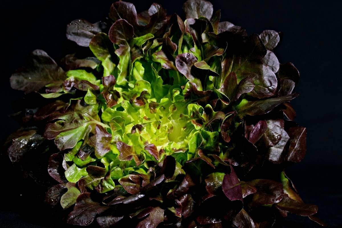 How to Build a Veggie Wellness Habit That Glows From the Inside Out