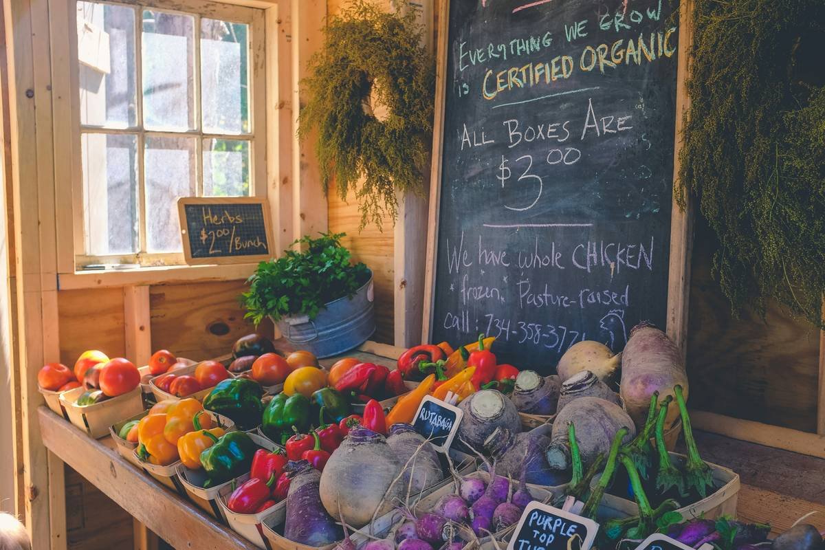Bar chart comparing antioxidant levels in organic vs conventional vegetables: organic spinach shows 38% more flavonoids, organic carrots 27% more beta-carotene, organic broccoli 42% more sulforaphane
