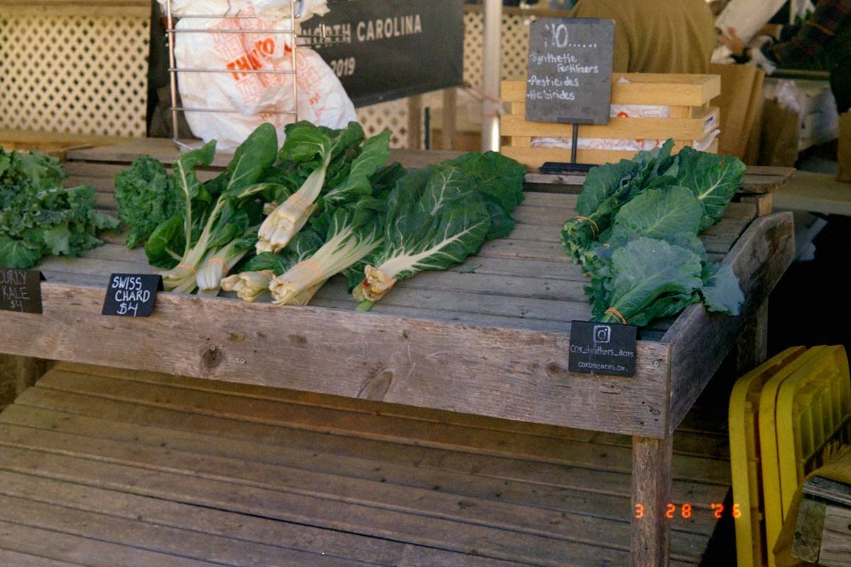 Organic fresh iceberg lettuce leaves being used in a DIY facial mask