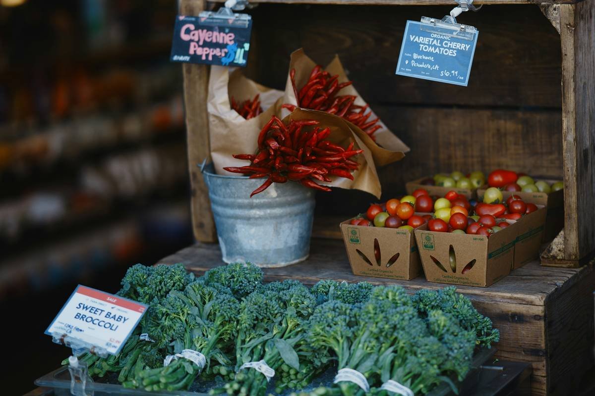Fresh organic iceberg lettuce harvested from a local farm for natural skincare use