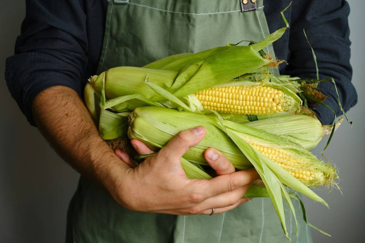 Why Your Organic Skincare Routine Starts with Organic Vegetables Farmers
