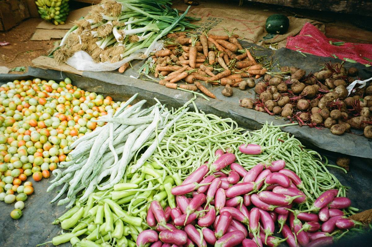 whole30 vegetable selection at farmer's market with leafy greens and root vegetables