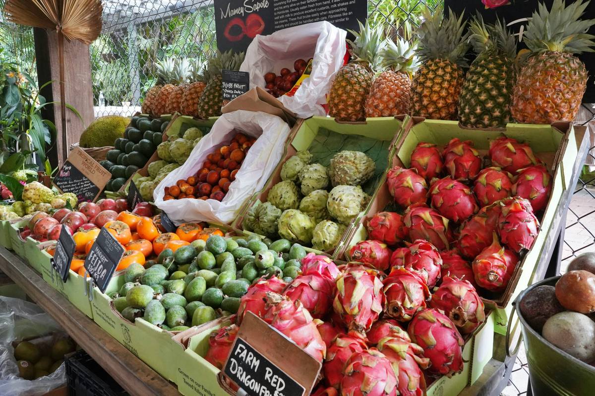 Wellness Vegetable: 7 Proven Tips to Avoid Costly Mistakes
